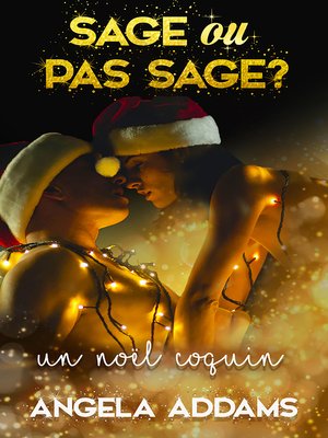 cover image of Un Noël Coquin